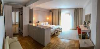 Отель Hotel Satu Mare City Сату-Маре Двухместный номер Делюкс с 1 кроватью и видом на сад-4