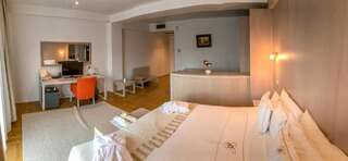 Отель Hotel Satu Mare City Сату-Маре Стандартный двухместный номер с 1 кроватью-1